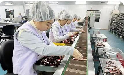 吉林借跨境電商激發(fā)開放新動(dòng)能