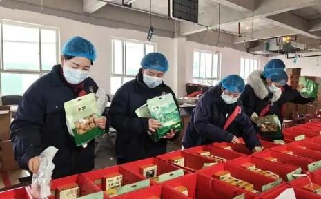 聚全國(guó)好核桃 賣(mài)全球大市場(chǎng)  陜西洛南全力打造百億級(jí)核桃產(chǎn)業(yè)集群