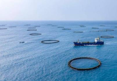 廣東以“媒體+”賦能美麗中國(guó)先行區(qū)建設(shè)