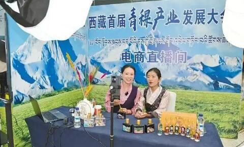 西藏農(nóng)村電商從“賣產(chǎn)品”向“興產(chǎn)業(yè)”轉變