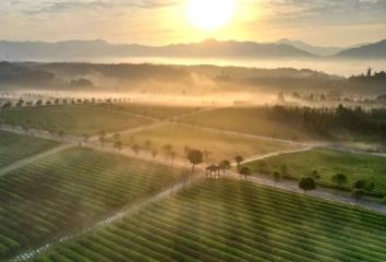 湖北加快打造新時代“魚米之鄉(xiāng)”