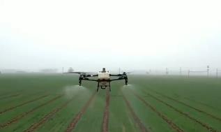 河南8500多萬畝小麥進(jìn)入春管期 科技顯身手