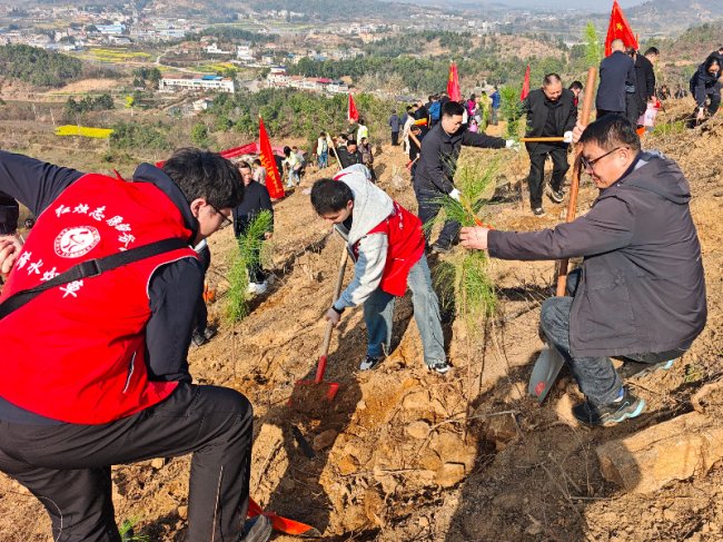 “植”此青綠 共“樹(shù)”未來(lái)