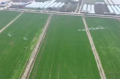 爭(zhēng)農(nóng)時(shí)、搶春管、推技術(shù)、保豐產(chǎn) 農(nóng)業(yè)科技助力下好春耕生產(chǎn)“先手棋”