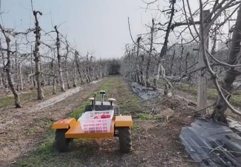 農(nóng)業(yè)數(shù)智化助力特色農(nóng)產(chǎn)品生產(chǎn)提“智”增效