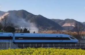 尋春景、游春色，一車暢達(dá)！賞花專線讓“春日經(jīng)濟(jì)”熱力十足