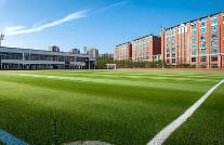 健全校園欺凌防治長(zhǎng)效機(jī)制等 四部門部署校園安全工作