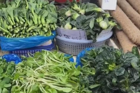 春季消費市場“春鮮”熱潮涌動 “春日經(jīng)濟”活力十足