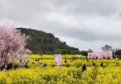 各地“花”樣文旅“圈粉”引客來 “春日流量”奔涌激活“消費DNA”