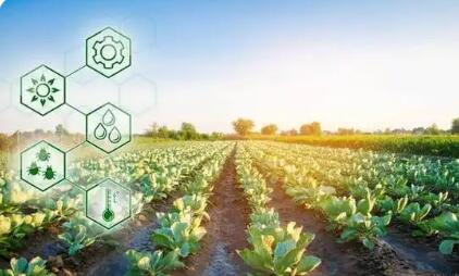 科學(xué)管護(hù) 綜合施策  四川以科技賦能春季農(nóng)業(yè)生產(chǎn)