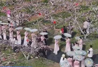 濃郁春意點(diǎn)亮旅游市場(chǎng)“新意” 文化之美添彩“春日經(jīng)濟(jì)”