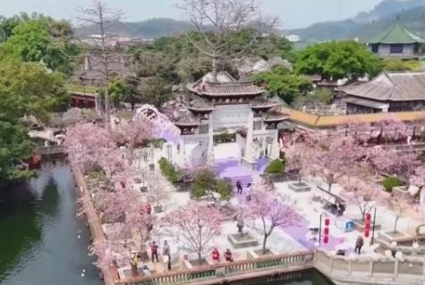 “美麗經(jīng)濟”激活鄉(xiāng)村文旅消費 “生態(tài)輪作+科技賦能”促進特色產(chǎn)業(yè)延鏈增效