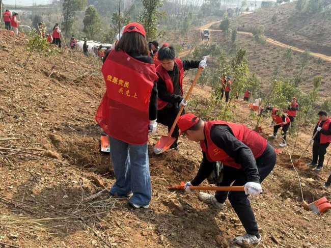 植綠護美 共筑生態(tài)  ——硚口煙草以行動踐行綠色理念 繪就人與自然和諧共生新圖景