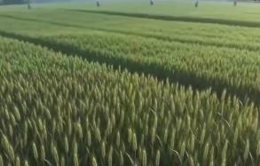 春耕春管向“新”而行 智慧農(nóng)業(yè)筑基把“中國(guó)飯碗”端穩(wěn)端牢