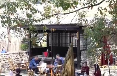 賞花觀鳥游“催熱”春日經(jīng)濟 以生態(tài)優(yōu)勢為媒激活多元業(yè)態(tài)“新”活力