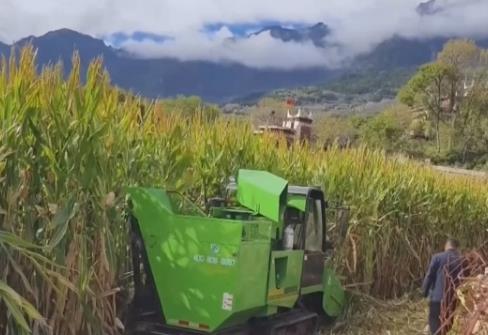 科技創(chuàng)新讓“良種”穩(wěn)糧倉(cāng)底氣更足 中國(guó)人飯碗端得更穩(wěn)、更牢