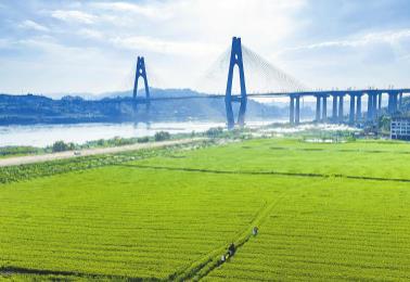 四川：春耕一線，看見“三變”