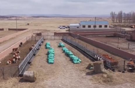 內(nèi)蒙古呼倫貝爾近億畝草原進(jìn)入休牧期