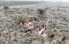 “中國鴨梨之鄉(xiāng)”邯鄲魏縣：書寫一顆梨的“無限可能”