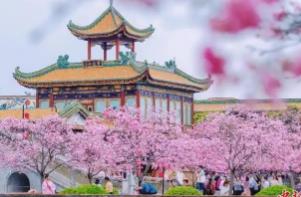 清明假期廣東接待游客1985.1萬人次