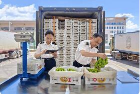 進(jìn)出口雙向擴(kuò)容 高水平開放提速 從水果貿(mào)易看中國進(jìn)出口平衡