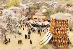 清明假期內(nèi)蒙古文旅實(shí)現(xiàn)“雙增長”