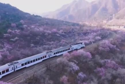 火車向著景區(qū)開 全國鐵路一季度開行旅游列車627列