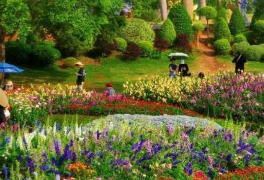 游客漲、預(yù)訂旺 “春日經(jīng)濟”催熱八桂消費市場