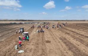 內(nèi)蒙古赤峰市敖漢旗中藥材基地迎來(lái)機(jī)械化采收