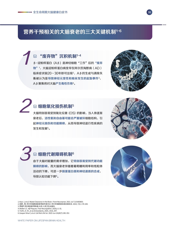 《全生命周期大腦健康白皮書》發(fā)布會(huì)圓滿舉辦，專家呼吁從20歲起科學(xué)護(hù)腦