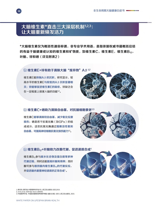 《全生命周期大腦健康白皮書》發(fā)布會(huì)圓滿舉辦，專家呼吁從20歲起科學(xué)護(hù)腦